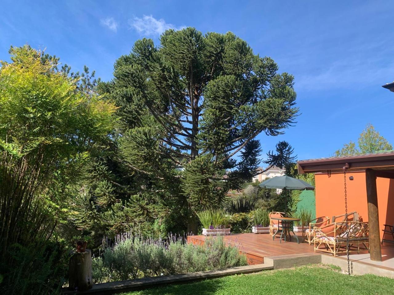 Linda Casa! Aconchegante E Com Otima Localizacao Villa Campos do Jordao Ngoại thất bức ảnh